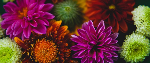 佛罗伦萨主帅：先踢完这场再考虑意甲，我们需要赢球提升士气