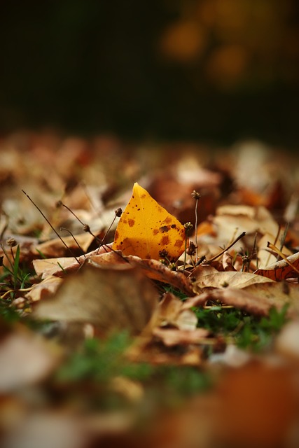 上组织和对 上组织和对