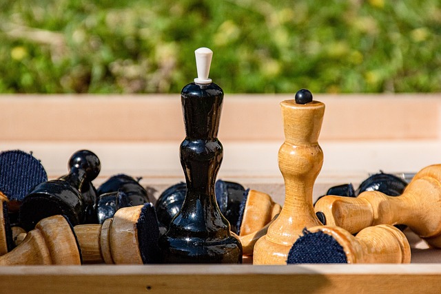 不少球迷都 不少球迷都