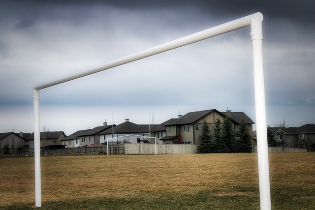 及国家未来 及国家未来